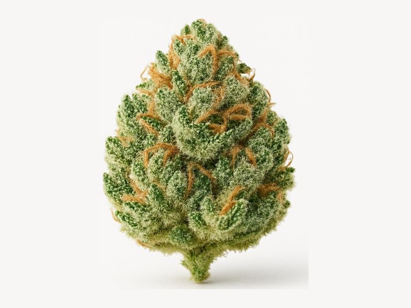 OG Kush (Bliss Pharma) – zdjęcie poglądowe