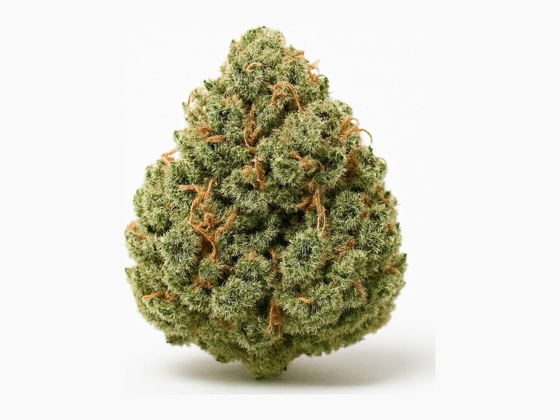 Red Velvet Cake (Canopy Growth) – zdjęcie poglądowe