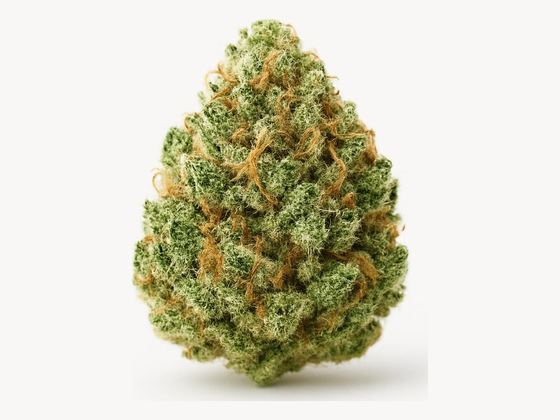 Girl Scout Cookies – zdjęcie poglądowe