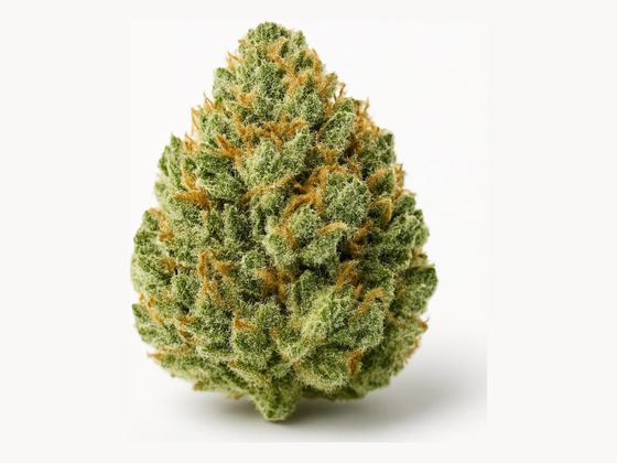 Gorilla Glue – zdjęcie poglądowe