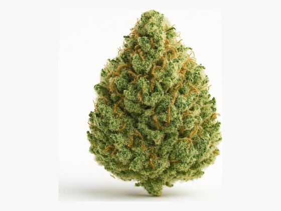 Island Sweet Skunk – zdjęcie poglądowe