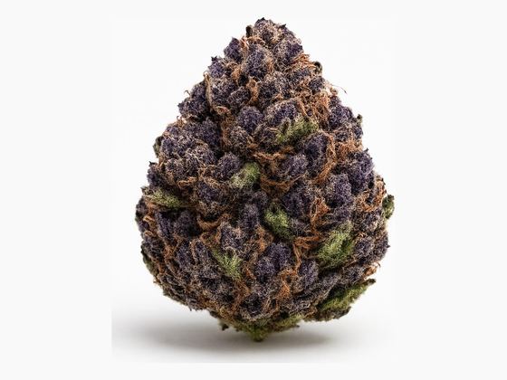 Lilac Diesel – zdjęcie poglądowe