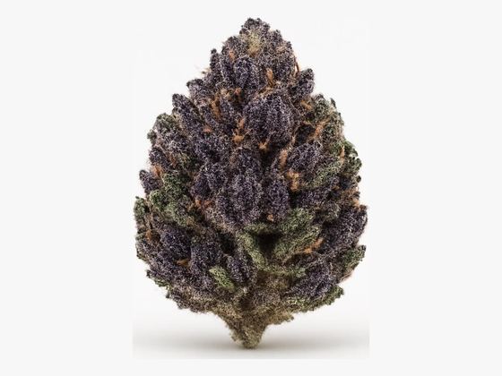 Lilac Diesel – zdjęcie poglądowe