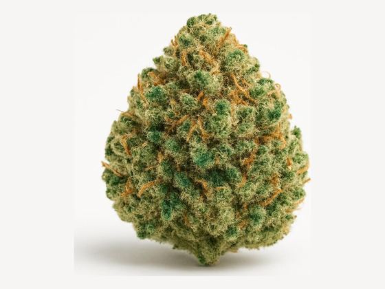 Master Kush – zdjęcie poglądowe