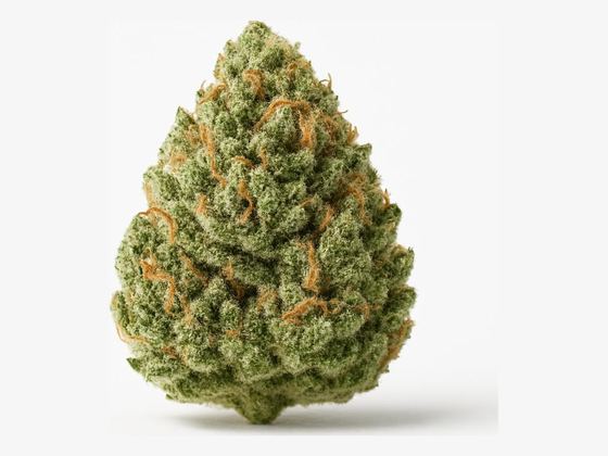 Pink Kush – zdjęcie poglądowe