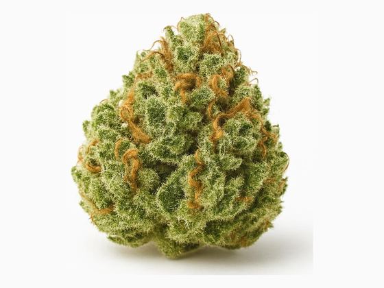 Pink Kush – zdjęcie poglądowe