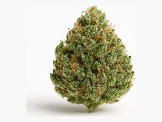 Pink Kush – zdjęcie poglądowe