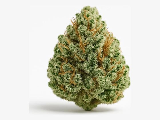 Sour Diesel – zdjęcie poglądowe